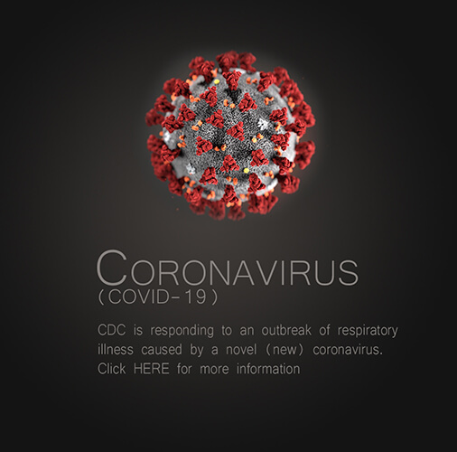 corona virus update