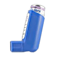 dulera